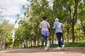 《王者》动画《王者荣耀：荣耀之章 碎月篇》新预告